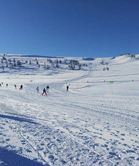 2021�Ƶ����е�ͼ��¯��˭���������е�Top Hotel