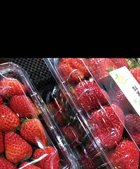 ����һ��������׼������Ȼ�������Լ�����ȥ��