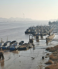 ����������ӻ���