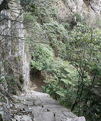 ����ʥ�ţ���ʮ�˶����Ի����ջ����