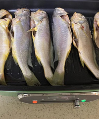 ��˽����ʳNo.51��һ���������Դ����ǧǧ�������ʳ