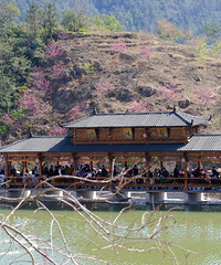 �봺ӣ���š��������԰