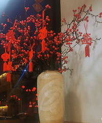 �ּ���˾�������ﵶ��ܺó�ÿ�ζ���