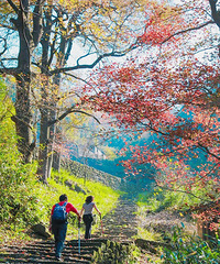 1��Ķ÷������ʢ�������Ǹ������˴�����ֵ�����Ź���