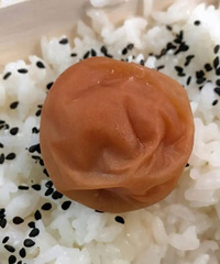 40Ԫ�ı㵱��ֻ���׷���һ��÷�ɣ����ǻ�Ǯ���į��