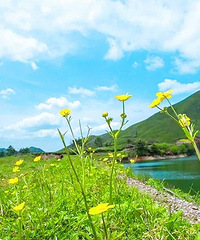 1��Ķ÷������ʢ�������Ǹ������˴�����ֵ�����Ź���