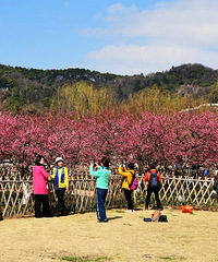 [����������]��������������÷