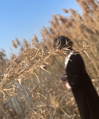 �������ռ�NO.51��̨����ʪ�ع�԰һ����