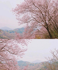 ���Ǳ����������ſھ���ӣ��ʢ���ķ�ѩ���ã����ڽ�10��