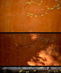 ������ǧ����÷���ˣ��ֱ������������ˣ�