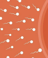 ����ˣ������������������������֪���Ķ�������