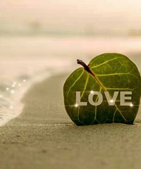 ���۸��᡿����һ���Ǻ�ͬ��ȡ�˸�ϱ���Ǹ�����Ա������