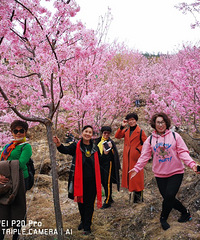 ���������԰ӣ��ʢ��