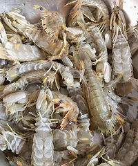 �����������֡����θ���Ϻ���ǳ��ó�