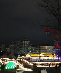 ҹ�������һ����ɿ���