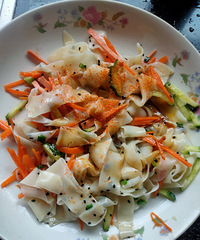 ��˽����ʳNo.51������Ƥ������