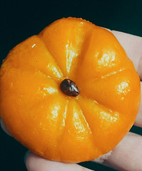 ϲ�������ͺ決��·��MM��Ѱ81-88�����ʿ����������δ��