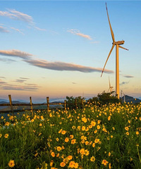 �ز�ס�ˣ�˽���ѾõĽ���С�ǣ����ʺ�С��̤��