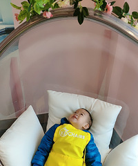 �����������֡�������������ʱ��