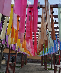 �ٺ����������ϳ���