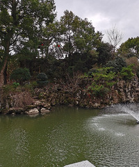 �ٺ����������ϳ���