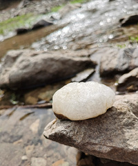 ţͷɽˮ�⣬�󺵺�ˮ��ˮλ�ܵ�