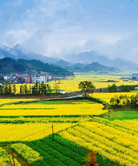 ������ǰ��������Ķ�Ͳ˻��𺳻ع�