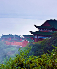 �����żҽ磬���������͵���С�ǣ���Ҳ�ز�ס��.