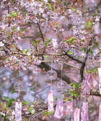 ��������ӣ��������������...