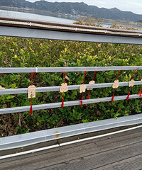 �������ϣ�̤�����棡