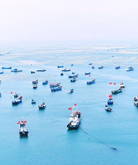 ����������ġ����˴塱��ȫ�屻��ɫ����