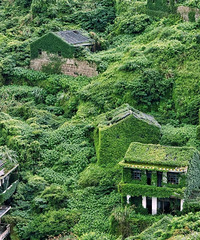 ����������ġ����˴塱��ȫ�屻��ɫ����