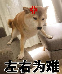 ��鵱���з����ϼҳ�������Ů���ӵ��¼һ��ǽӻ��ϼң�