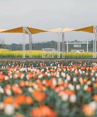 ��������Ȧ���ڵȣ����С�Ǽ����������õ�ģ����