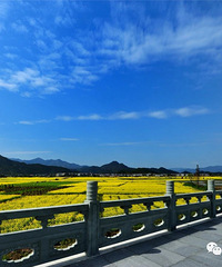 �ٺ����Ͳ˻��������ߣ���ؽ�ƣ���ը�ˣ�