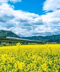 �ٺ����Ͳ˻��������ߣ���ؽ�ƣ���ը�ˣ�