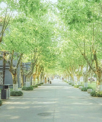 �Ⱥ������������������գ�����������No.1