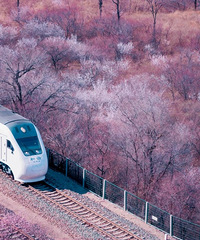 ���ھ����ձ�ͬ����𳵣�6��Ǯ����������