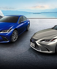 �̵����30����ʲô����30����ýγ���ѡ