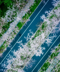 �Ⱥ������������������գ�����������No.1