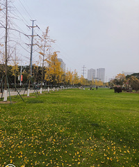 ���۸��᡿�����һ����������Ǯ