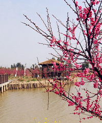 �ٲ�����Ҫ����������������ݹ��ԣ�һ������÷�ɣ�