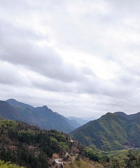 ̨�ݻ������ɾӽ������Ϫ��ɽ��������Խ����԰���岿��ɽ