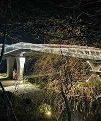 ˢ������������֪������̵���