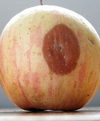 ���ֻ���һ���ֵ�ˮ����ʣ�µĲ������ǻ����