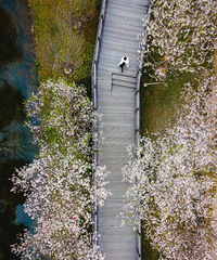 ���˷��ˣ��㽭������ӣ�����ȡ�������С�����