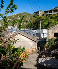 һ������Ӱʦ����񡱵�С�ں�������ֵ̫��ȴ��㱻��������