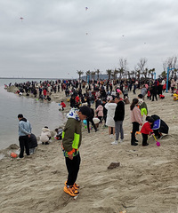 �����ڼ�İ�ɳ�壬������˺ö�Ŷ