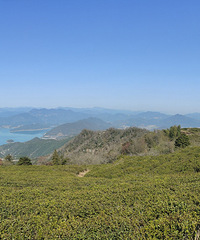 85��δ��GG����175���������룬ϣ�������������㣡