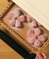 ӣ��������ŷ�� | �ʹ���Ԥ��һ��Լ��